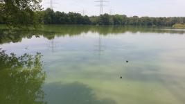 Fahrradtour 2020 (4)